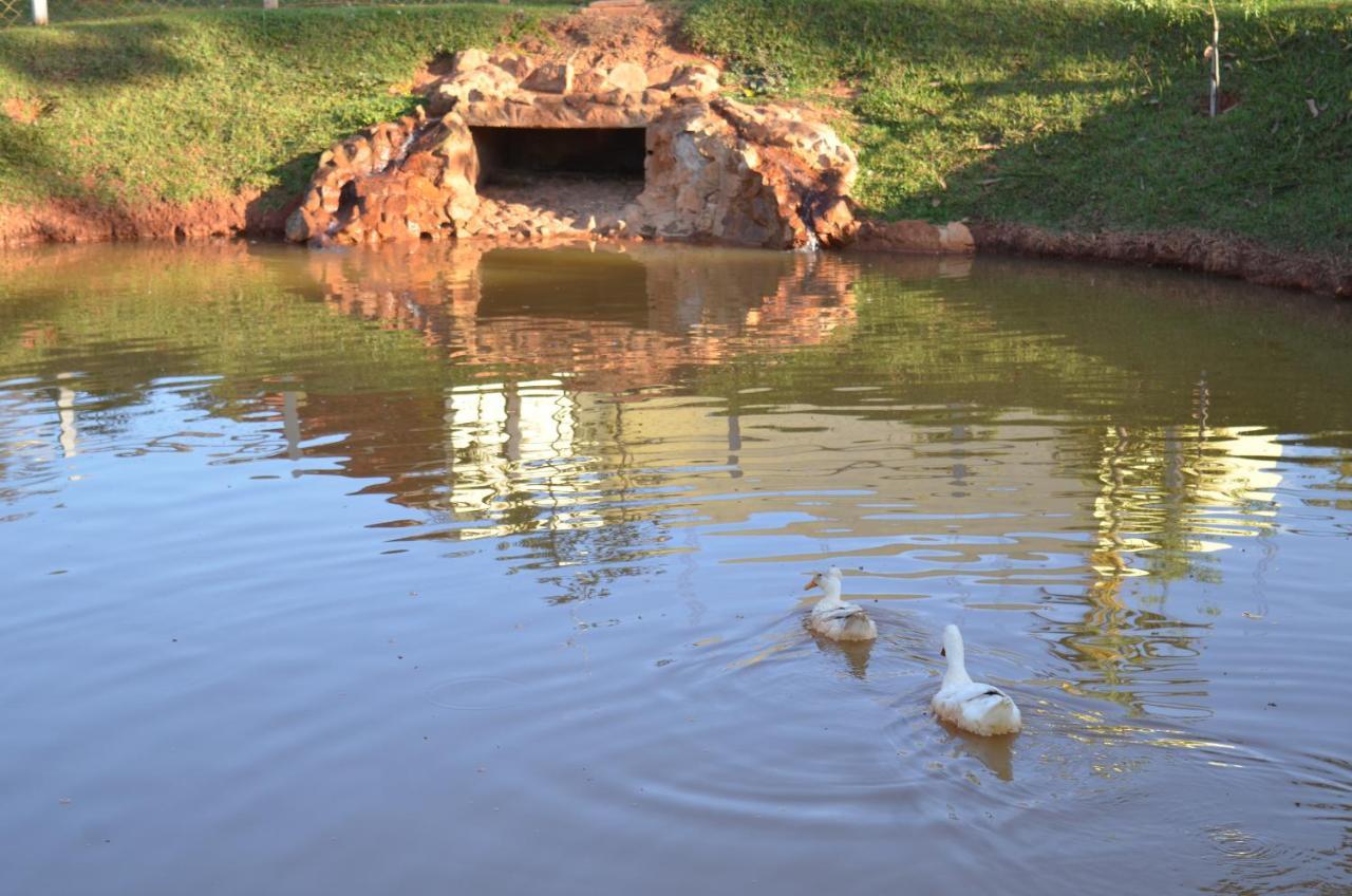 Pousada Coqueiro Verde Minas Gerais マテウス・レメ エクステリア 写真