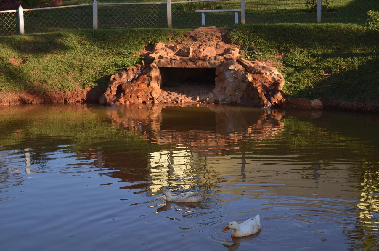 Pousada Coqueiro Verde Minas Gerais マテウス・レメ エクステリア 写真